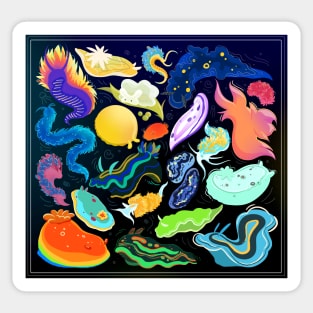 Nudibranch Sea Slugs Sticker